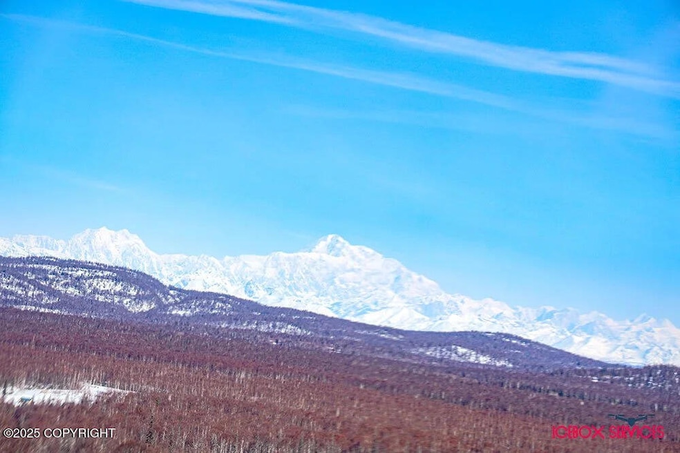 26112 S Gadol Dr, Talkeetna, AK 99676 - photo 1