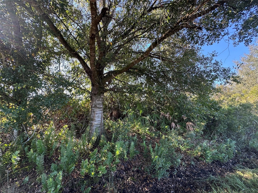 14928 260th St, Okeechobee, FL 34972 - photo 1