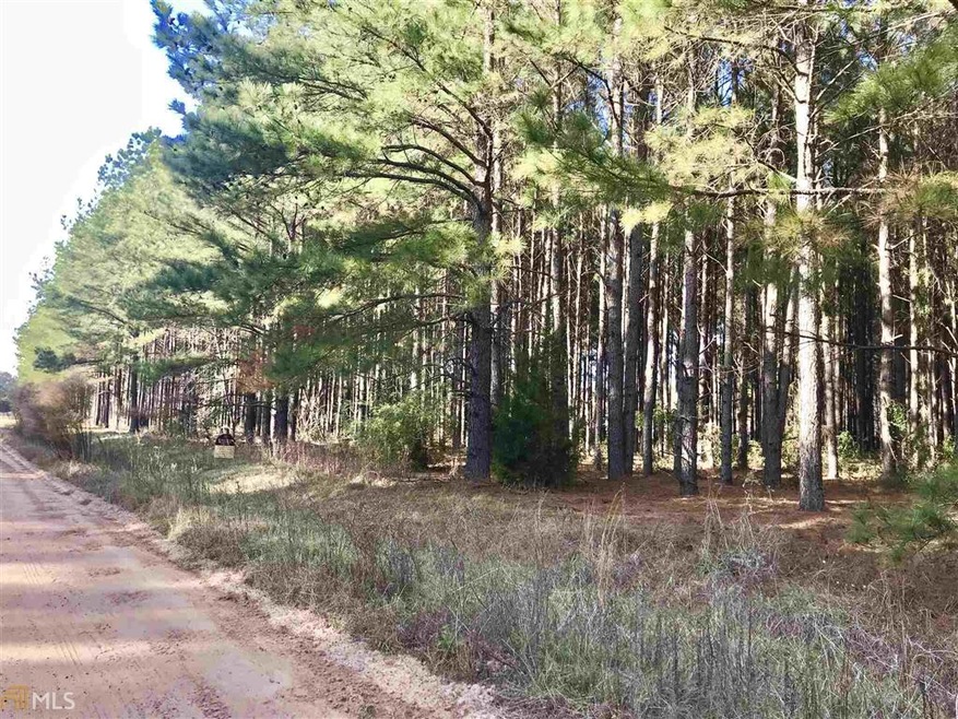 0 Creekside Manor Rd, Metter, GA 30439 - photo 1