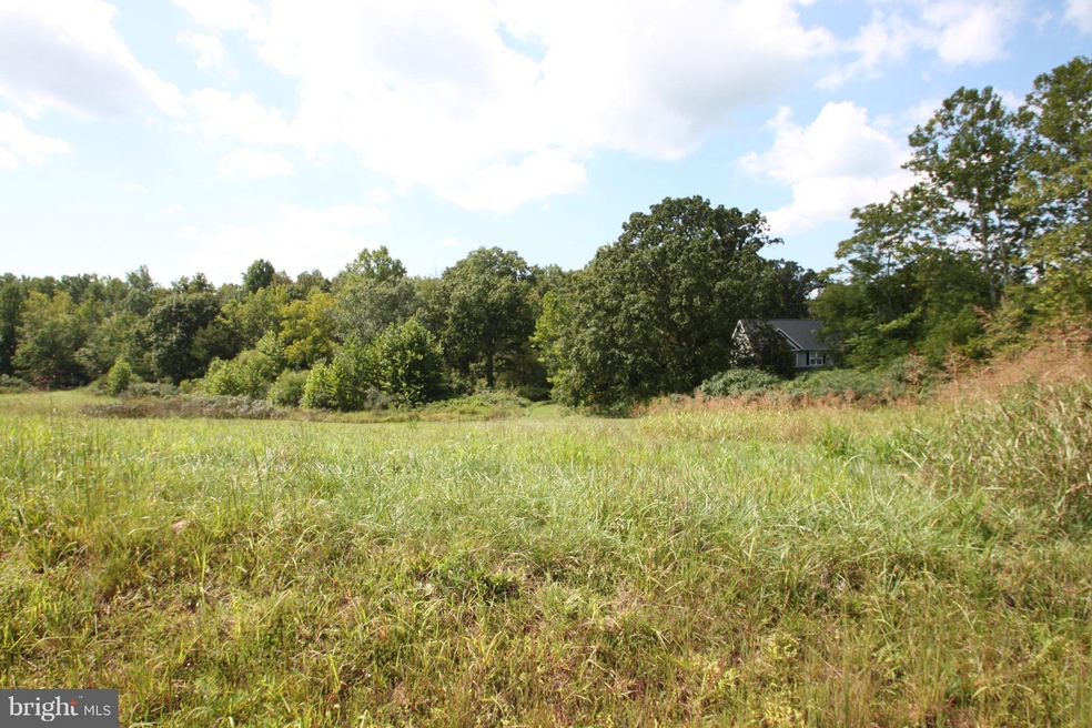 0 Lot 2 Blackbird Loop unit 1000141179, Culpeper, VA 22701 - photo 1