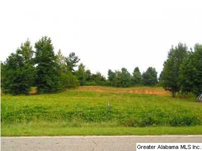 0 County Road 87 unit 4 622397, Roanoke, AL 36274 - photo 1