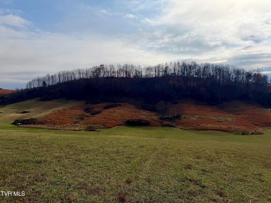 TBD Thomas Ln, Bluff City, TN 37618 - photo 1