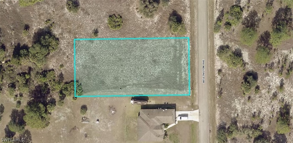 1619 Wellington Ave, Lehigh Acres, FL 33972 - photo 1