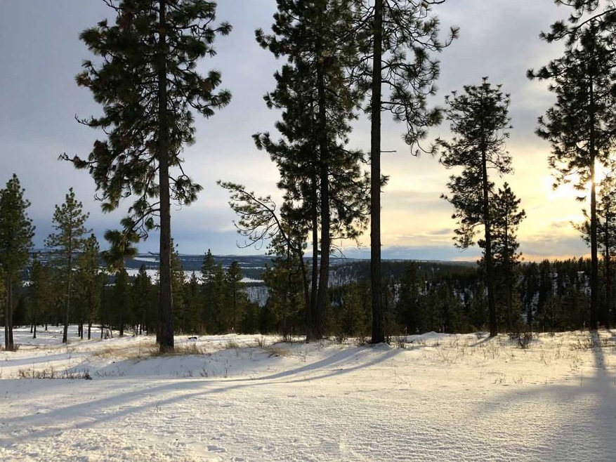 15723 N Adeline Ln, Spokane, WA 99208 - photo 1