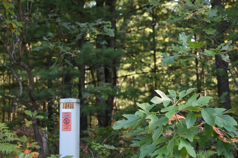 10452 N Woodbridge Ave, Bitely, MI 49309 - photo 1