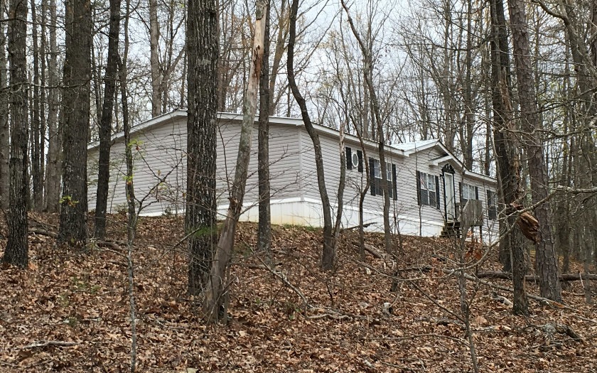Main View