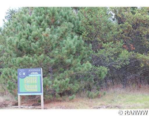 Lot 8 Avonlea Ln, Washington, WI 54742 - photo 1