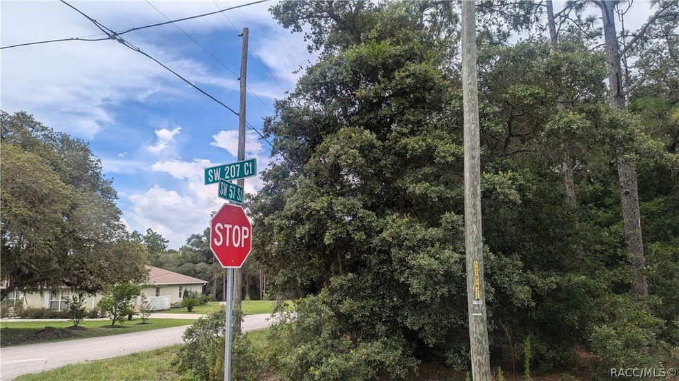 tbd SW 207th Ct, Dunnellon, FL 34431 - photo 1