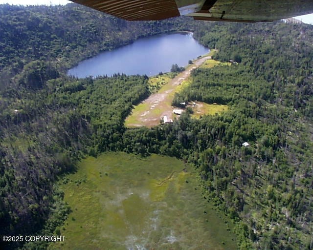 Tr A1-6 Pomeroy Rd, Homer, AK 99603 - photo 1