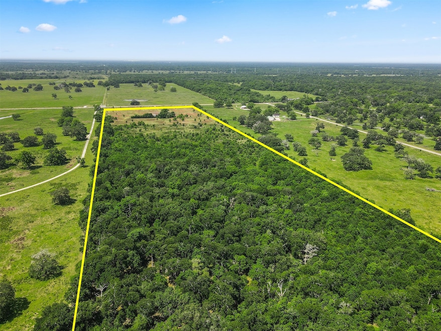 Over 50 acres of beautiful land available—full of