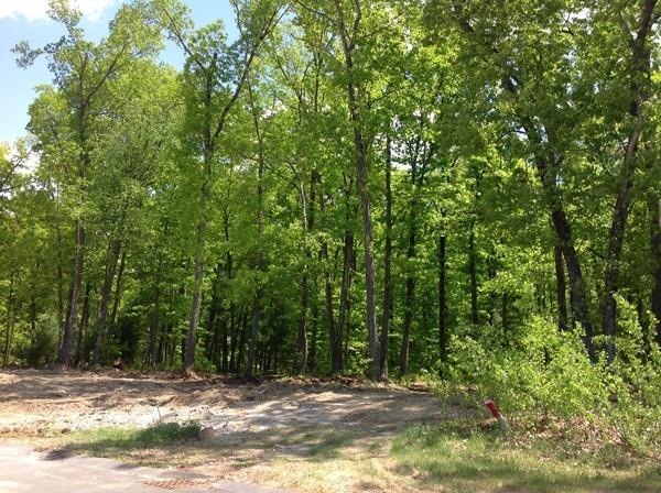 Lot 19 Turning Leaf Rd, Ludlow, MA 01056 - photo 1