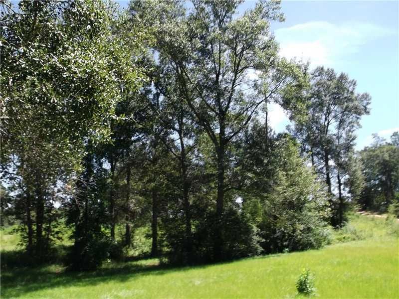 0 Honey Grove Rd, Franklinton, LA 70438 - photo 1