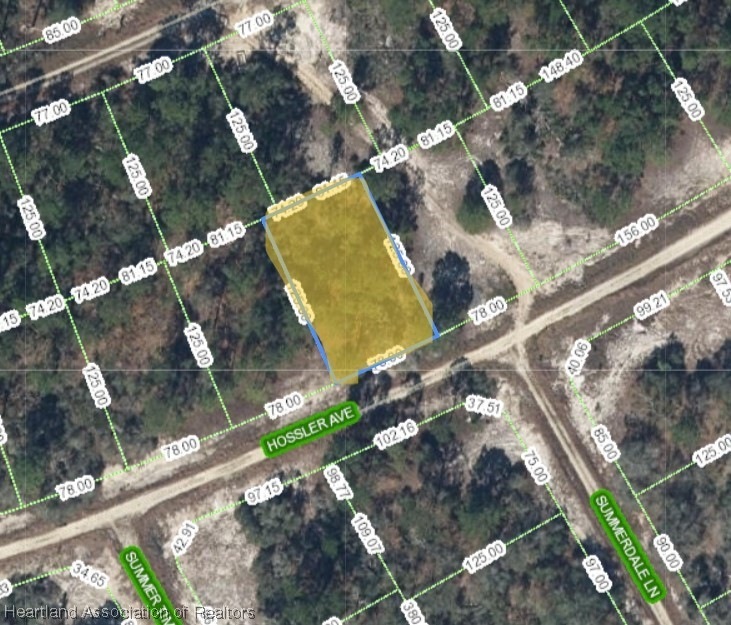 392 Hossler Ave, Lake Placid, FL 33852 - photo 1