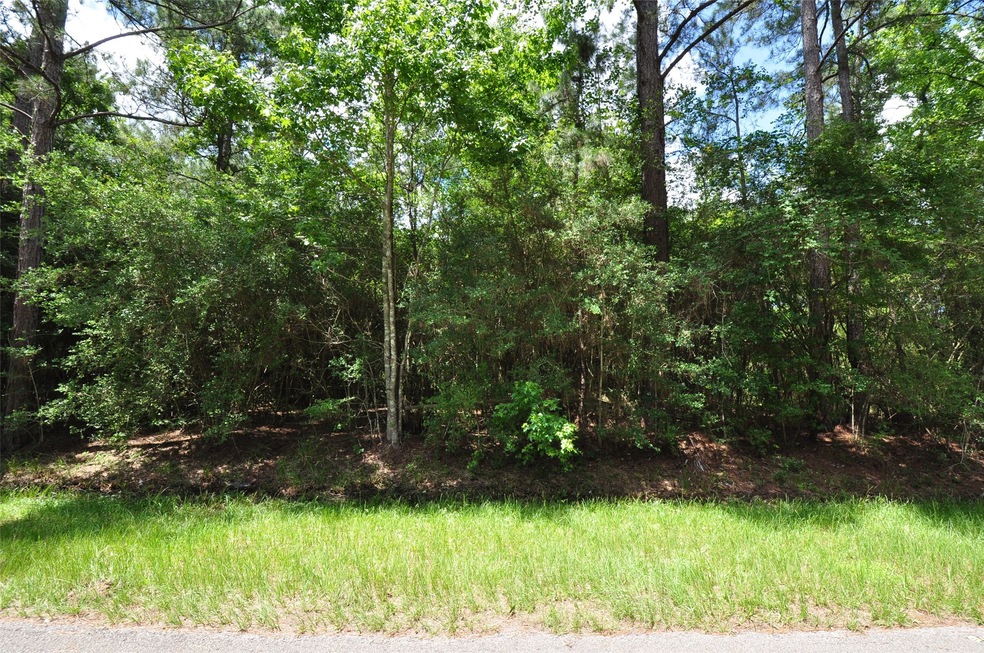 10106 Seneca Trail, Magnolia, TX 77354 - photo 1