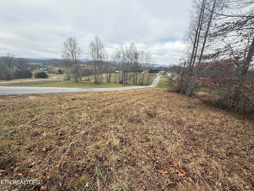 Lot #6 Oak Point Dr, Jonesville, VA 24263 - photo 1