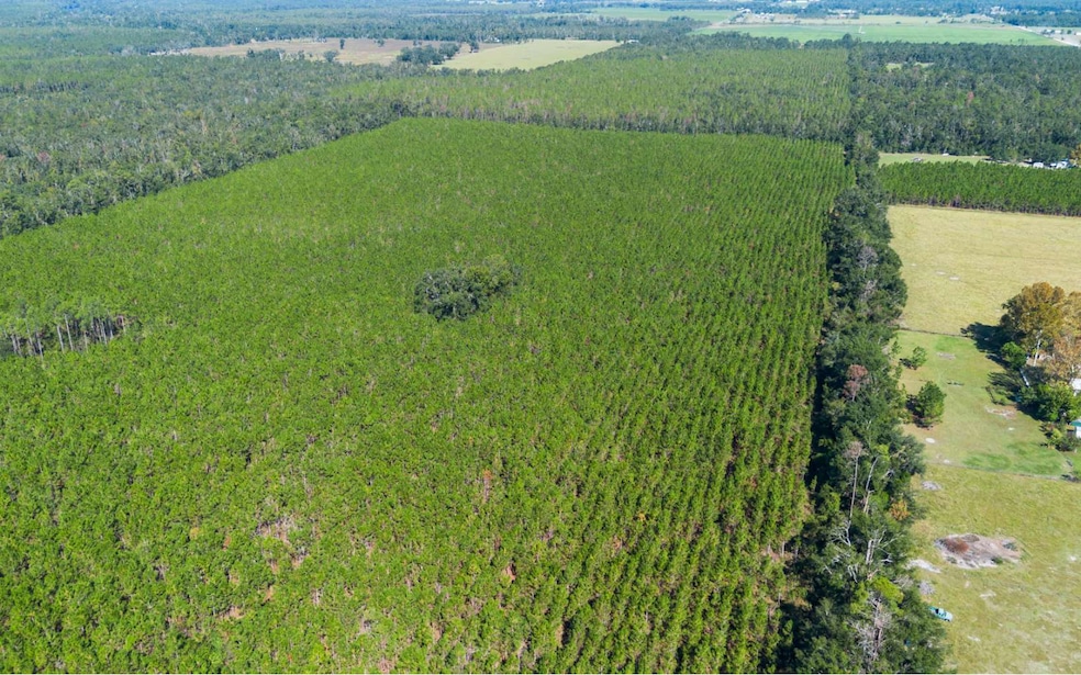 TBD-1 221st Rd, Dowling Park, FL 32060 - photo 1