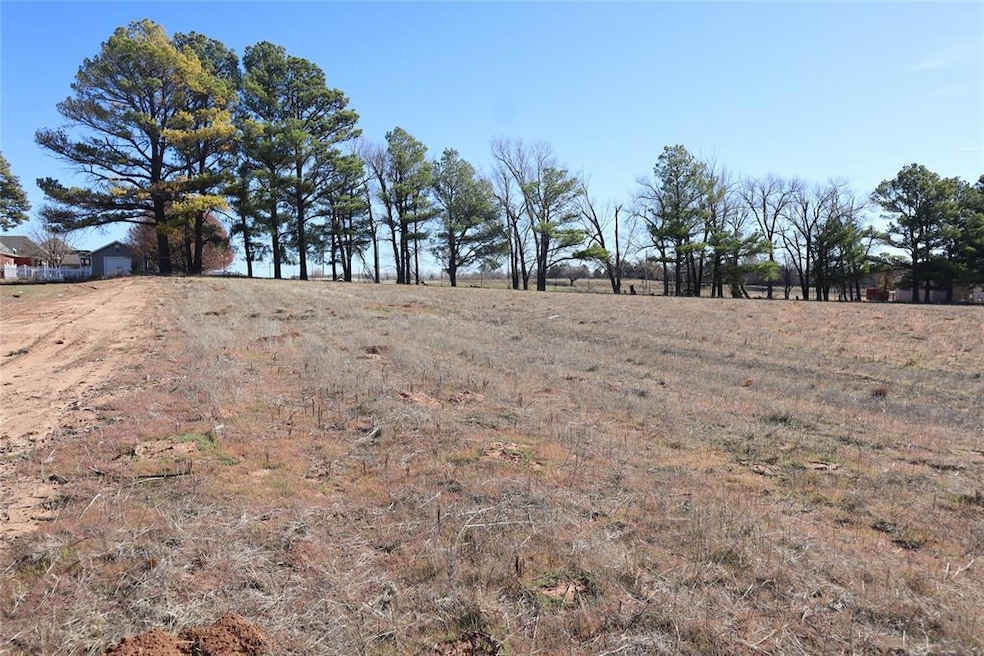 Looking East on the North Side of the property