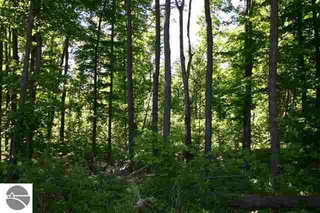 13506 S Bahia Vista Dr unit 17, Traverse City, MI 49684 - photo 1