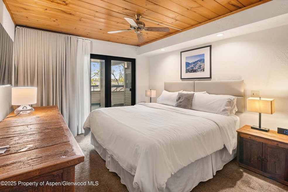 301 E Hyman Ave unit 202, Aspen, CO 81611 - photo 1