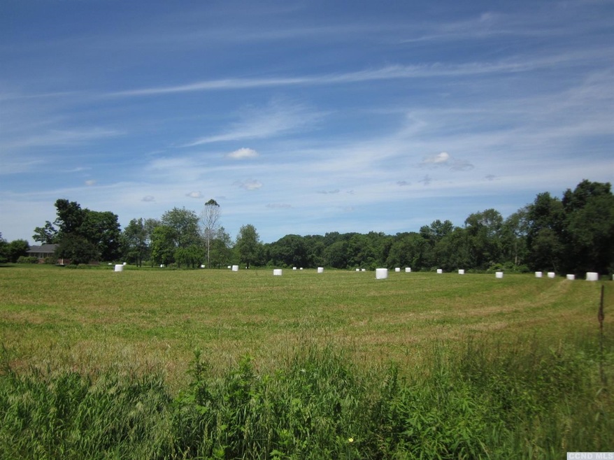 0 Wiltsie Bridge Rd unit 127214, Ancram, NY 12502 - photo 1