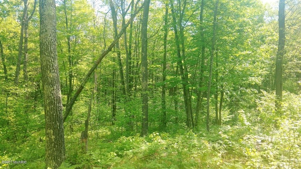 10094 N Woodbridge Rd, Bitely, MI 49309 - photo 1