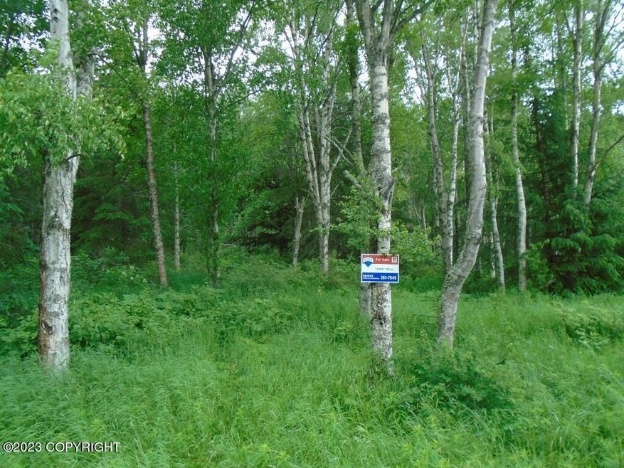 Woods