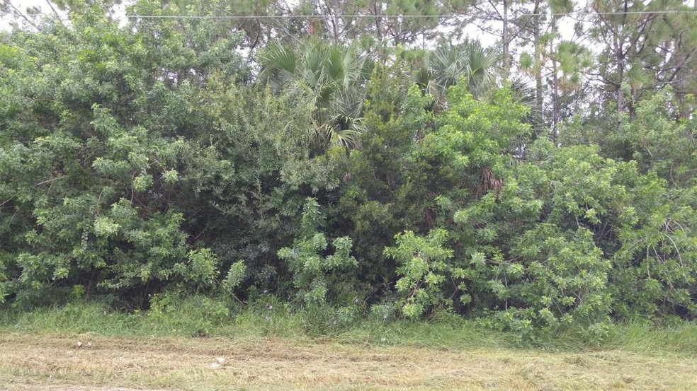 Corner Lot