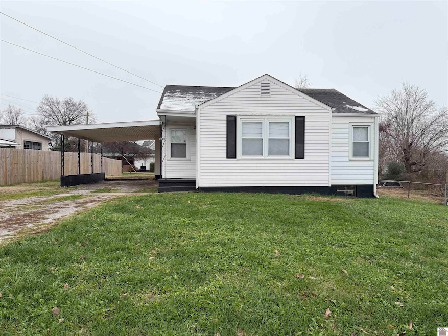 132 E Young St, Princeton, KY 42445 - photo 1