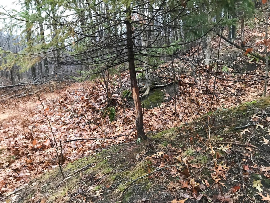 19312 Township Rd 284, Coshocton, OH 43812 - photo 1