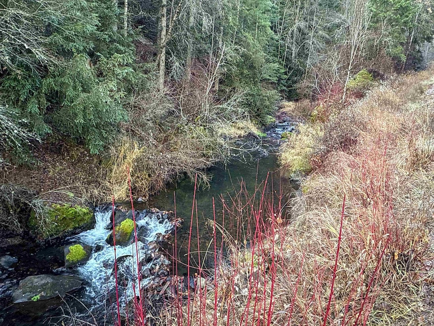NKA Deer Creek Rd, Valley, WA 99181 - photo 1