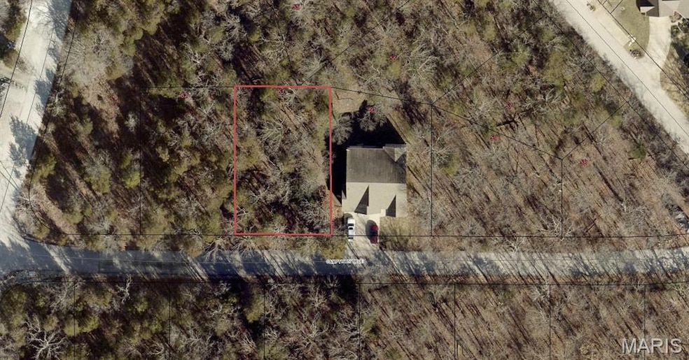 61 Camptown Trace, Raintree Plantation, MO 63050 - photo 1