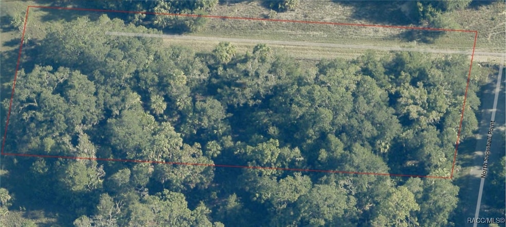 9999 N Snowball Point, Crystal River, FL 34428 - photo 1