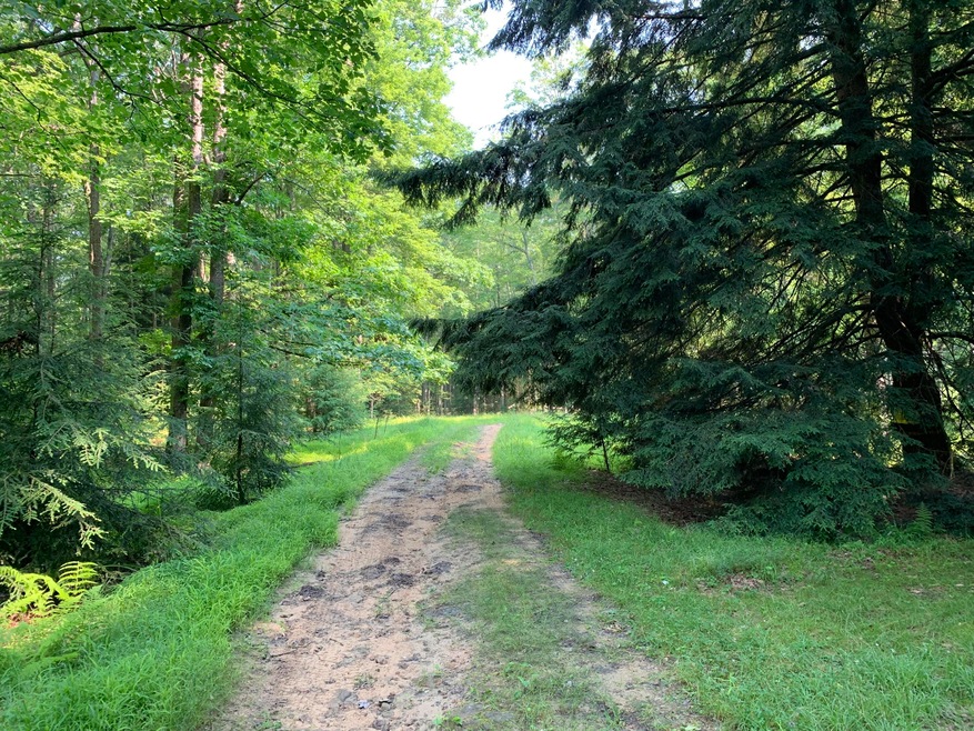 00 Elk Rd, Heath Township, PA 15860 - photo 1