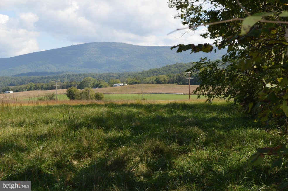 0 Thunderbird Rd unit 1000406219, Bentonville, VA 22610 - photo 1