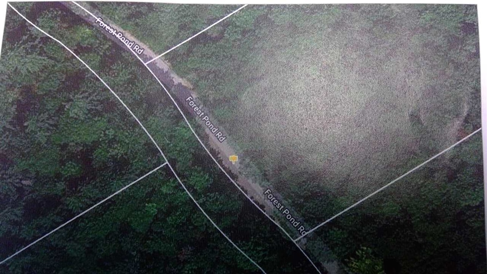 33 Forest Pond Rd, New Hampton, NH 03256 - photo 1