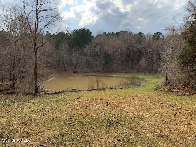 Pond