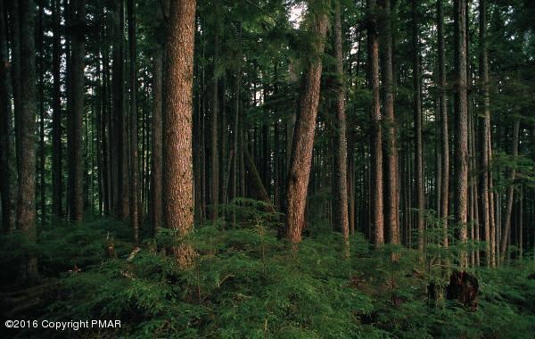 139 Broad Mountain View Dr, Jim Thorpe, PA 18229 - photo 1