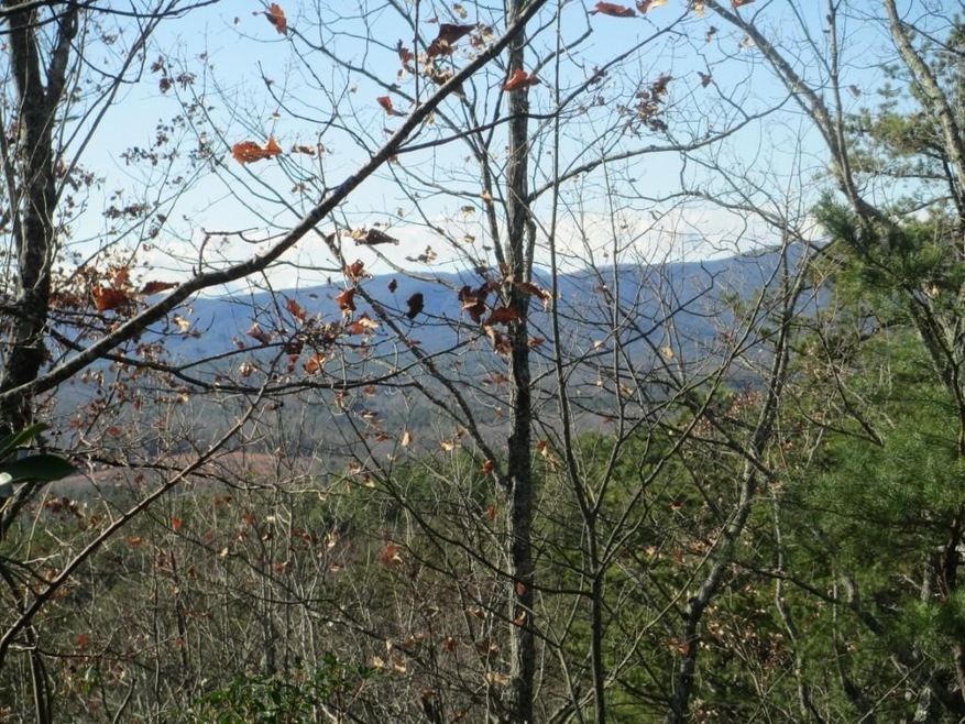 N31 Mountain Laurel Dr, Salem, SC 29676 - photo 1