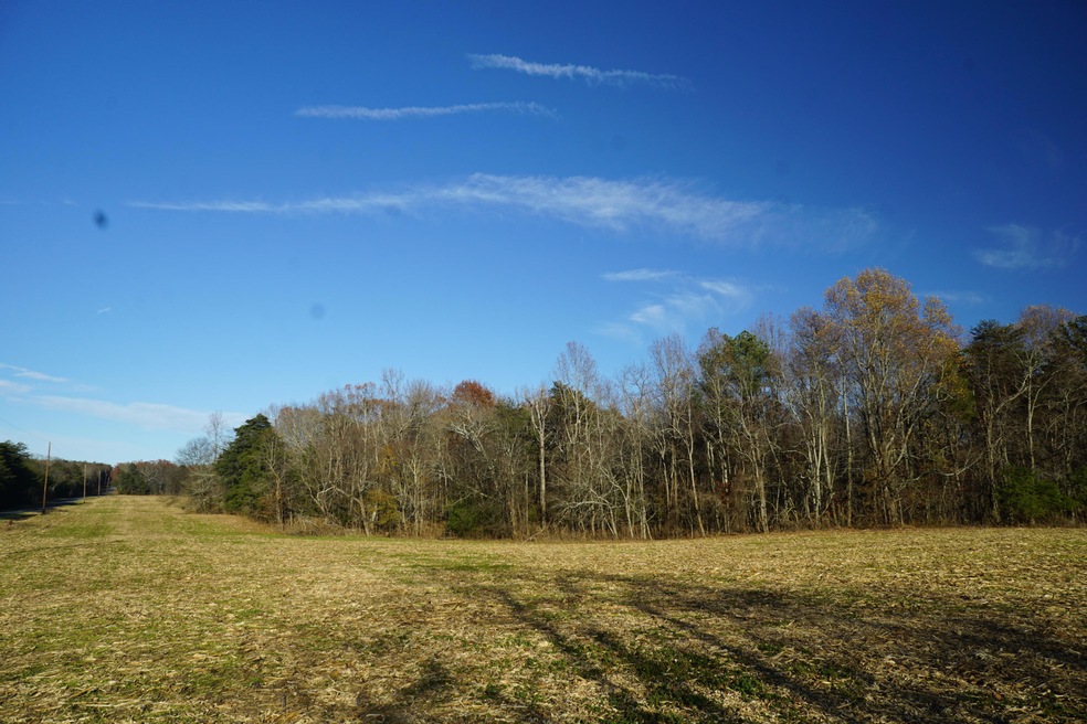 Old State Road Field 5
