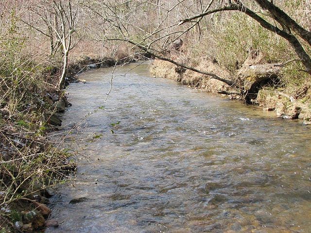 Boardtown Creek along the property
