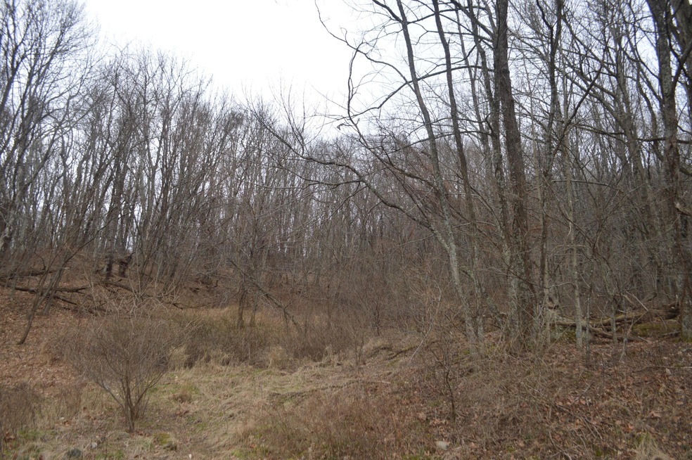 Spraker property3