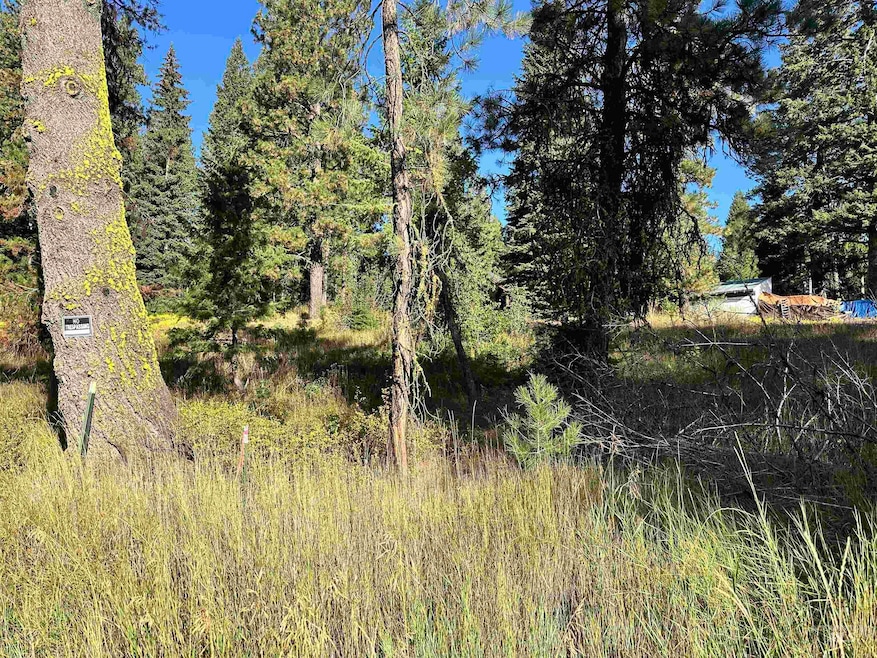 20 Andy, Donnelly, ID 83638 - photo 1