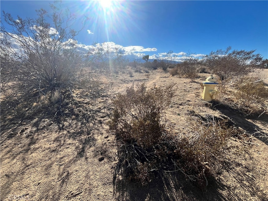 1 Greasewood Ln, Phelan, CA 92371 - photo 1