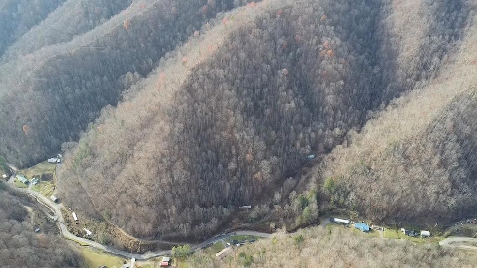 1067 Red Dog Rd, Grundy, VA 24614 - photo 1