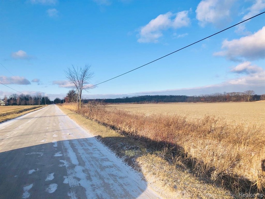 00000 W Newburg Rd, Carleton, MI 48117 - photo 1