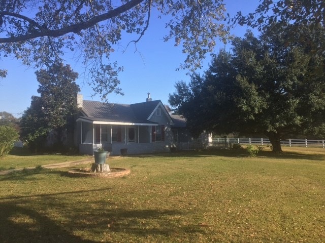 Main View
