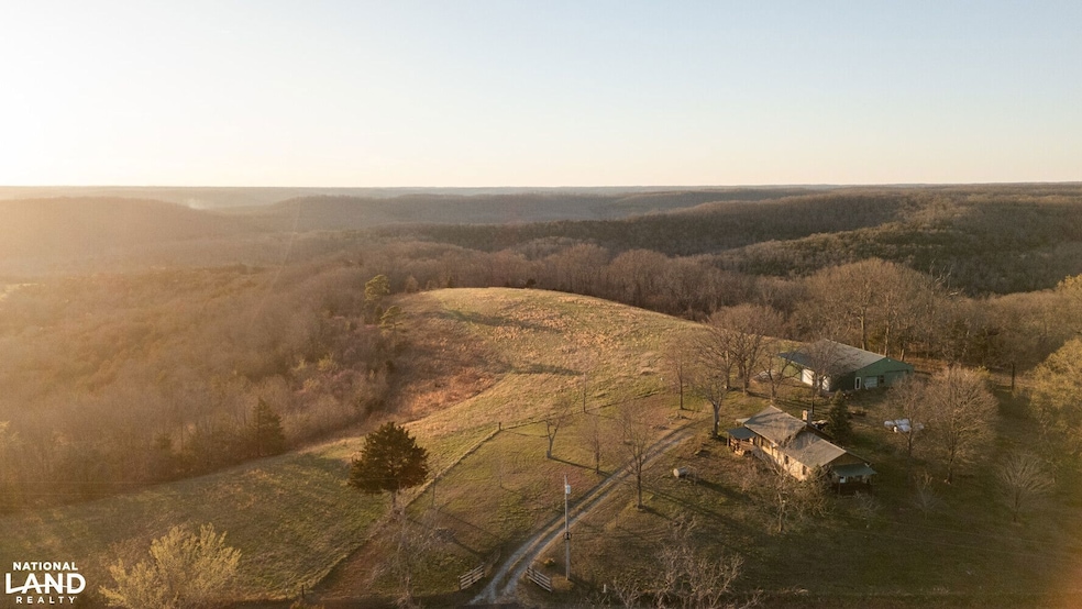 6955 Chadwick Rd, Chadwick, MO 65629 - photo 1