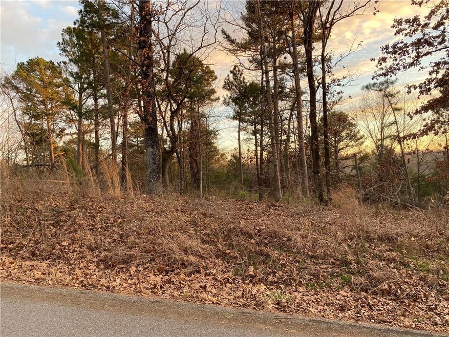 14 Little Dr, Bella Vista, AR 72715 - photo 1