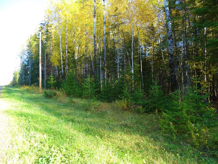 DSC00920