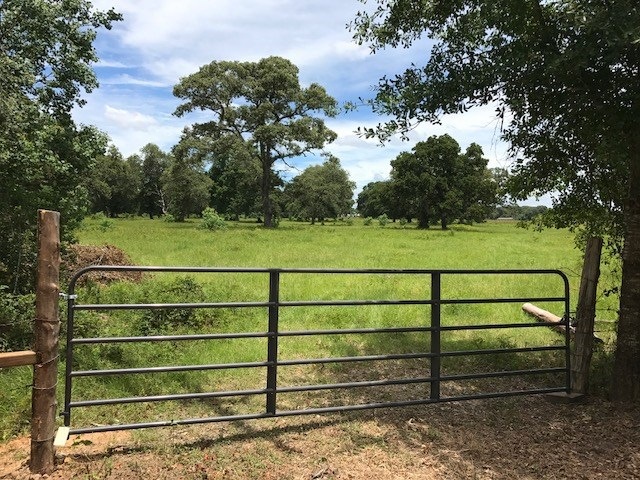 29700 Joseph Rd, Hockley, TX 77447 - photo 1